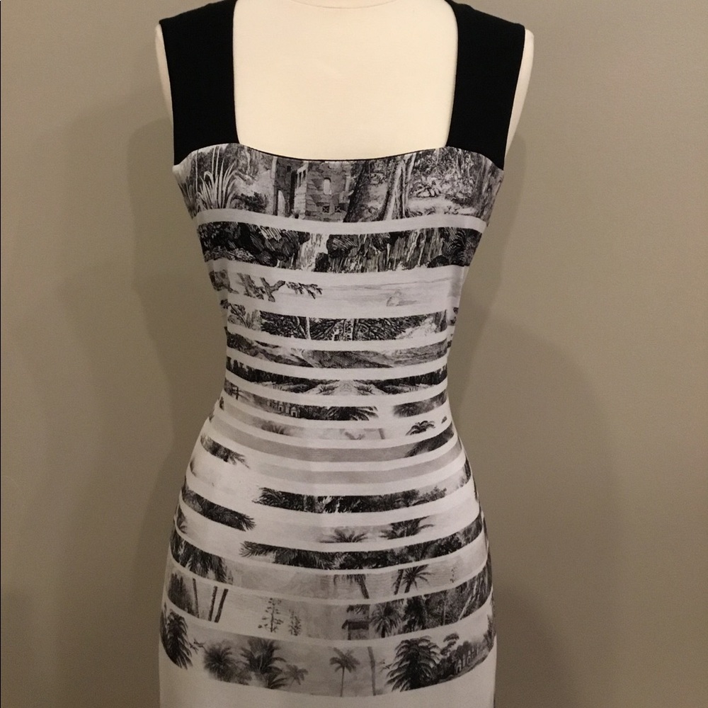 Michael Tyler Collection - Picture 6 of 16